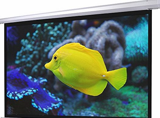 ReaseJoy 100`` 4:3 Matte White Electric Motorized Projection Screen with Remote Control 203x152cm