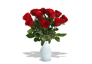 A Dozen Red Roses Gift Wrap