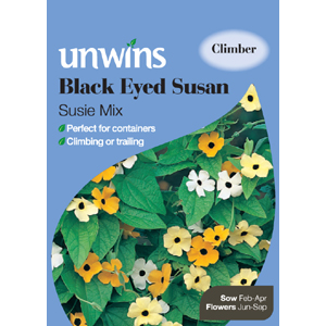 Black Eyed Susan Susie Seed Mix