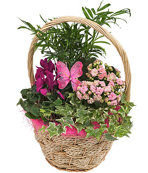 Bunches.co.uk Mothers Day Basket PMBASK