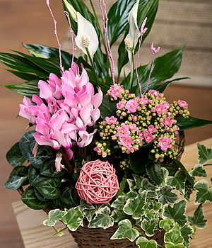 Bunches.co.uk Mothers Day Flower Basket PSFB