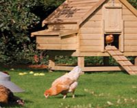 Chicken Coop - Large