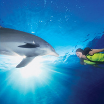 discovery Cove ULTIMATE Adventure Package (2011)