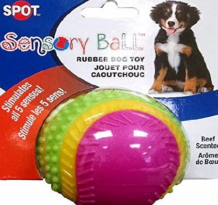 ETHICAL PRODUCT Ethical Pets Sensory Ball Dog Toy, 2.5``