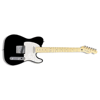 Fender Standard Tele MN- Black
