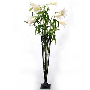 Flowers Directory Art Deco Lilies