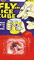 Funny Man Fly in the Ice Cube