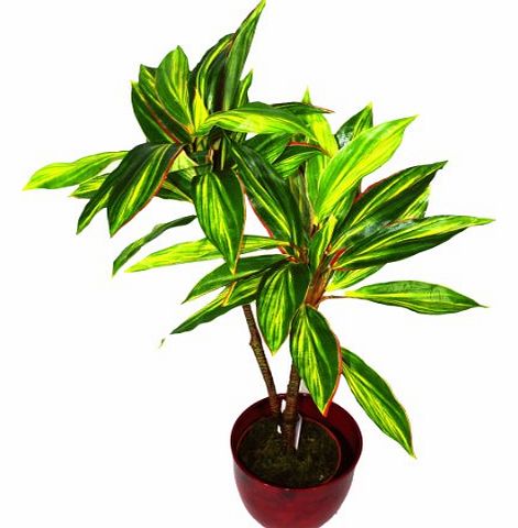 Geko Large 3ft, 90 cm Artificial Large Dracaena House Plant Indoor or Outdoor Use