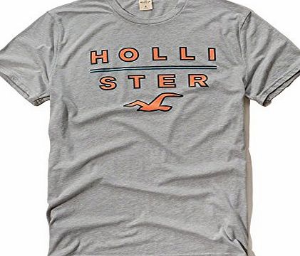 Hollister Co. PRINTED LOGO GRAPHIC TEE Casual T-Shirt (Light Grey) (Large)