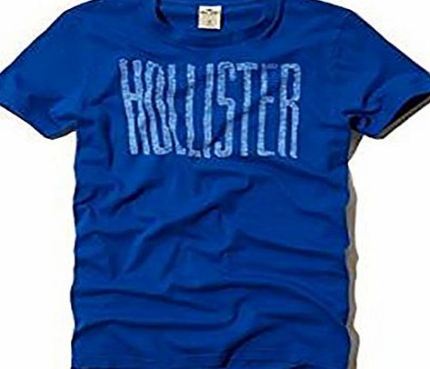 Hollister Co. WARNER SPRINGS Graphic T-Shirt Mens Crew Neck Tee - Blue (X-Large) XL