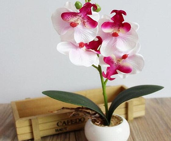 Kolylong Artificial flower, Four Butterfly Orchid Meaty Plant Bonsai Creative Flower Arranging Accessories (White)