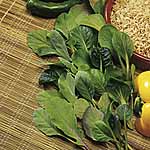 leaf Salad Stir Fry Seeds 436559.htm
