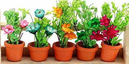 MyTinyWorld Dolls House Miniature 5 Plants On A Wood Plant Stand