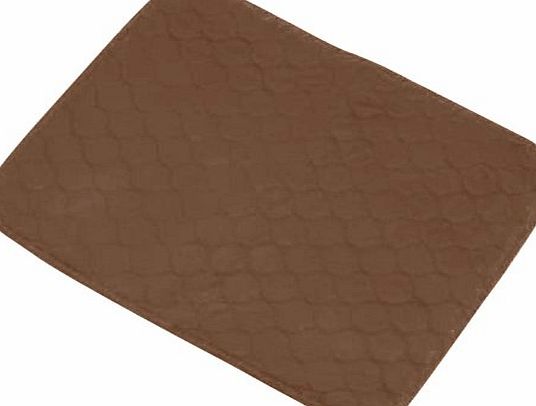 NRS Healthcare M35951 Incontinence Protection Chair Pad - Brown