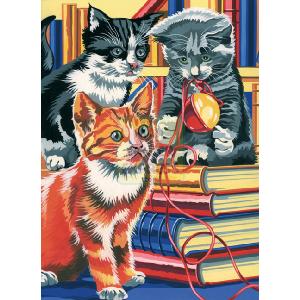 Oasis Junior Paint By Numbers Kitten on Books