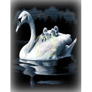 Oasis Reeves Silver Scraperfoil Swan and Cygnet