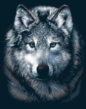 Oasis Silver Scraperfoil Wolf