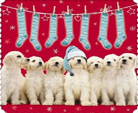 Otter House Golden Retriever Puppies Christmas Cards Stocking Time 10 Card Pack