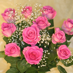 Pink Roses with Gypsophilia