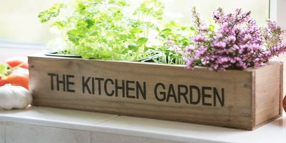 Primrose Kitchen Herb Garden Kit Windowsill Window Box Planter with Seeds