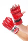 Pro-Box Red Fingerless Punch Bag Mitts Small