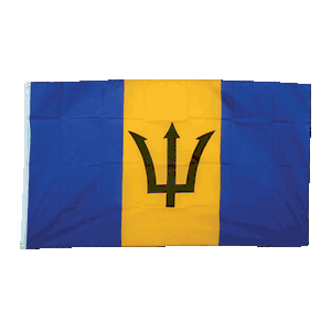 Promex Barbados Large Flag 90 x 150 cm