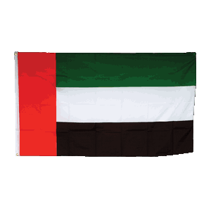 Promex United Arab Emirates Large Flag 90 x 150 cm