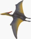 Quay Pteranodon - 4D Puzzle