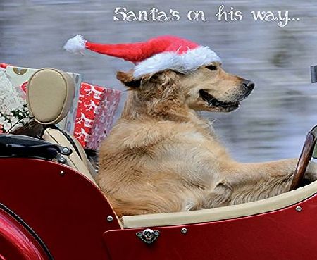 Quayside Cards Golden Retriever Charity Christmas Cards Santas On His Way - Pack of 10
