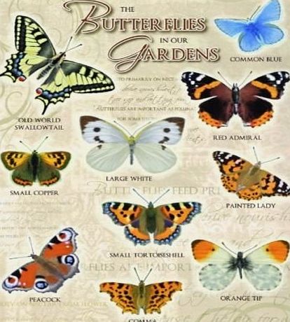 RKO Butterflies in our Gardens including Common Blue, Large White, Red Admiral amp; Painted Lady. Kitchen, shed, cafe, garden centre, allotment, green house. Medium Metal/Steel Wall Sign