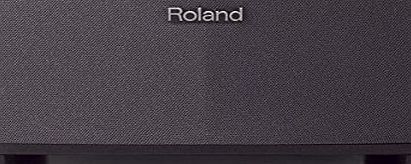 ROLAND  Cube Lite Guitar Amplifier and Audio Dock with iOS Integration - Black