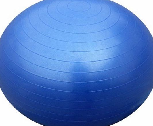 ScSPORTS Gym Ball / Exercise Ball 65cm (Blue) With Dual Action Hand Pump