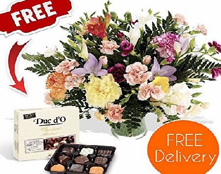 SendaBunch Fresh Flowers Delivered - Friendship Bouquet of Carnations and Freesias in Mixed Colours with Chocolates, Flower Food and Bonus Ebook Guide - Perfect For Birthdays, Anniversaries and Thank You Gifts