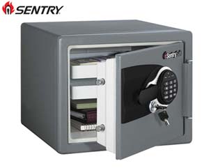 Sentry electronic safe MSW0809