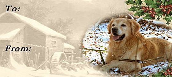Starprint Golden Retriever Dog No. 1. Christmas Labels (42) - Self Adhesive