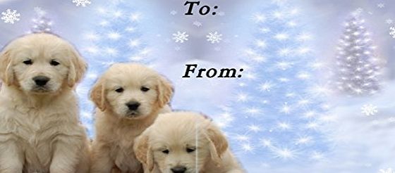 Starprint Golden Retriever Dog No. 4. Christmas Labels (42) - Self Adhesive