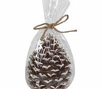 Brown pine cone candle