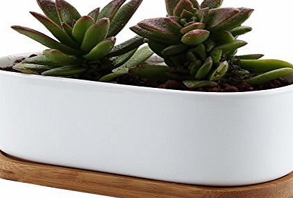 T4U888 T4U 17CM Ceramic White Modern Oval Design Sucuulent Plant Pot/Cactus Plant Pot With Bamboo Tray