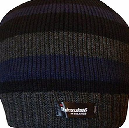 TeddyTs Mens Striped Thermal Knit Fleece Lined Thinsulate Winter Beanie Hat (Navy Blue amp; Grey)