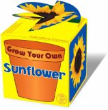 Tobar Grow Your Own Sunflower