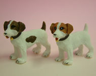 2 Heidi Ott Jack Russell Terriers