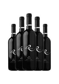 Unbranded 2006 Merlot, Casa Rivas Unmixed 12-bottle case offer