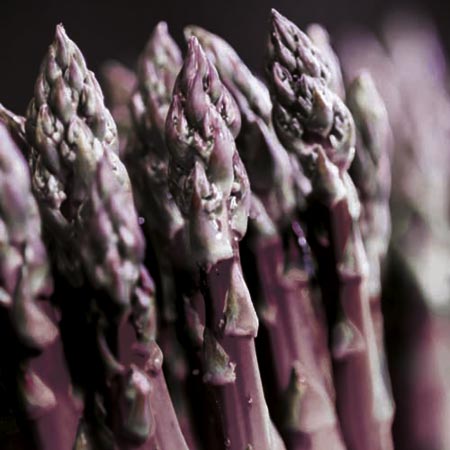 Unbranded Asparagus Crowns Stewarts Purple Pack of 12 Crowns