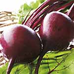 Unbranded Beetroot Boltardy Plants