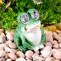 Unbranded Bright Eye Frogs