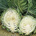 Unbranded Cabbage Pixie Seeds 433307.htm