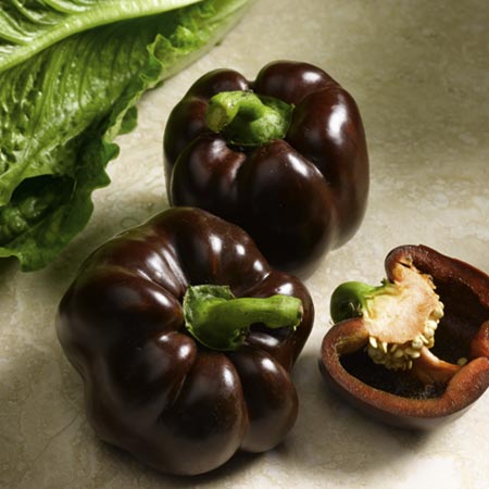 Unbranded Capsicum Ingrid (Pepper) 8 Seeds