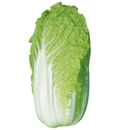 Unbranded Chinese Cabbage One Kilo S.B. F1 Seeds (Chinese