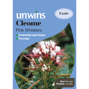 Unbranded Cleome Pink Whiskers Seeds