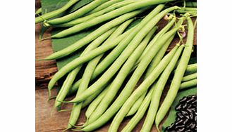 Unbranded Climbing French Bean Seeds - Cobra